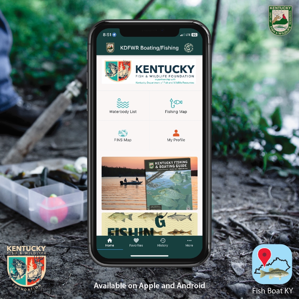 Fish_Boat_KY_Graphic-02.jpg